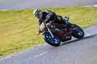 anglesey-no-limits-trackday;anglesey-photographs;anglesey-trackday-photographs;enduro-digital-images;event-digital-images;eventdigitalimages;no-limits-trackdays;peter-wileman-photography;racing-digital-images;trac-mon;trackday-digital-images;trackday-photos;ty-croes